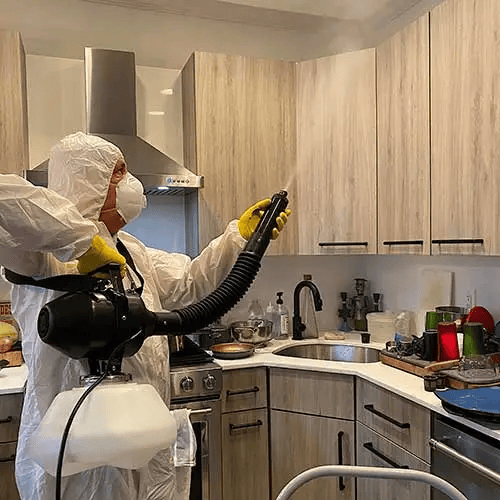 Whole & Partial Property Disinfection (Viral) 2
